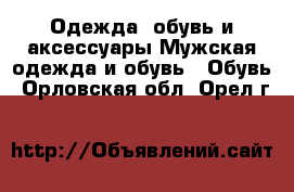 Одежда, обувь и аксессуары Мужская одежда и обувь - Обувь. Орловская обл.,Орел г.